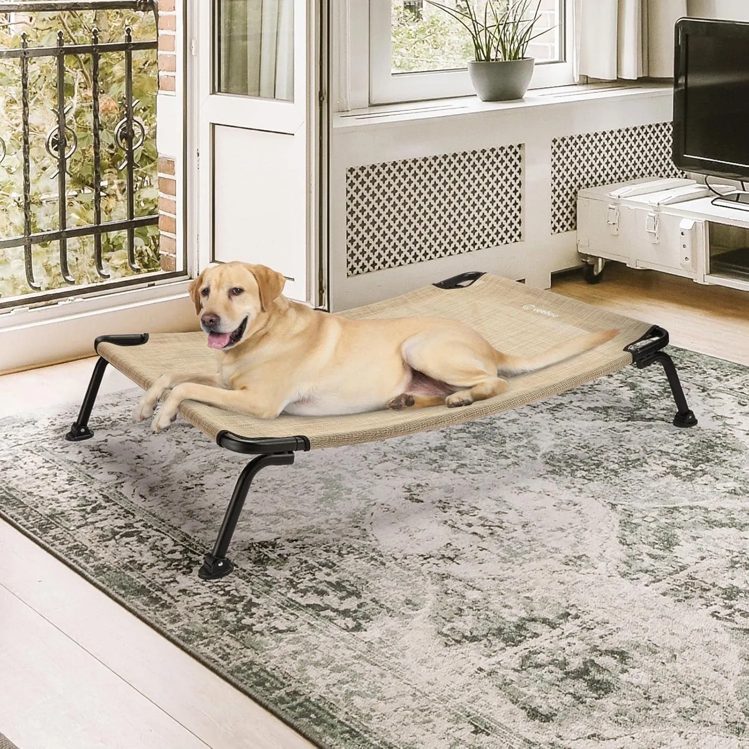 Veehoo Elevated Raised Dog Cot Bed, Curved Outdoor Dog Bed Off Ground Lifted Hammock Indoor Pet Bed with Breathable Teslin Mesh, Beige, 42"L x 30"W x 8"Th, Up to 120lbs