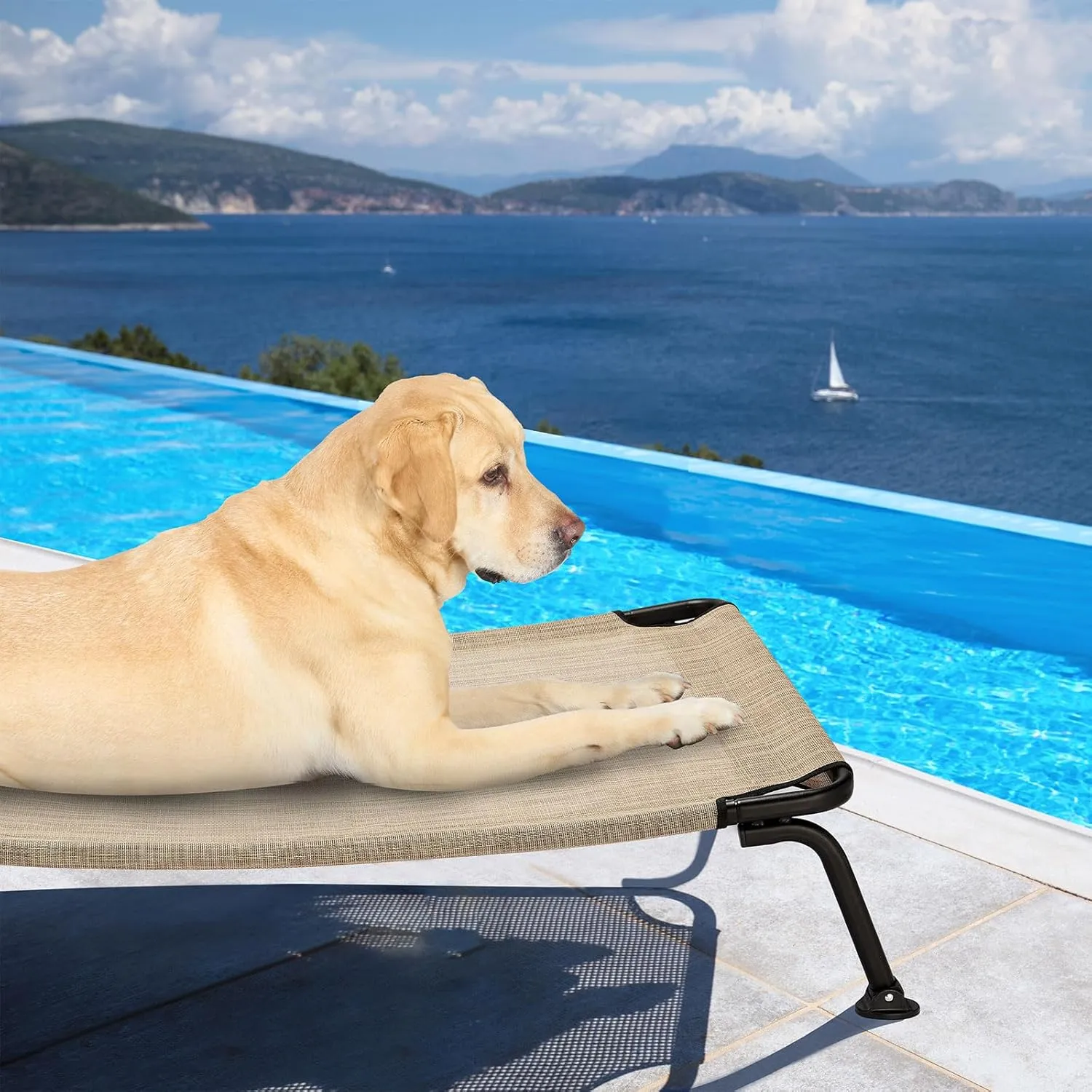 Veehoo Elevated Raised Dog Cot Bed, Curved Outdoor Dog Bed Off Ground Lifted Hammock Indoor Pet Bed with Breathable Teslin Mesh, Beige, 42"L x 30"W x 8"Th, Up to 120lbs
