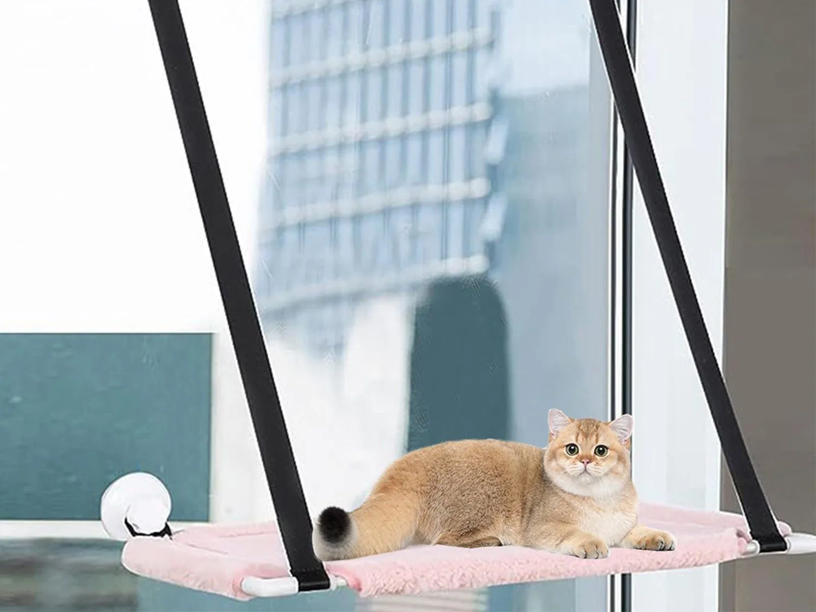 Window Cat Hammock