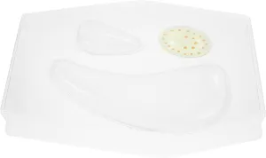 YARNOW Cell Building Kit Plant Cell Model Comprehensive Guide for Classrooms Homes