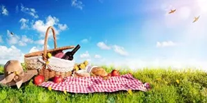 Yeele 15x8ft Outdoor Picnic Backdrop Natural Scenery Green Grassland Picnic Blanket Basket Red Wine Apples Bread PhotoBackground for Spring Outing Holiday Family Gathering Party Events Studio Props